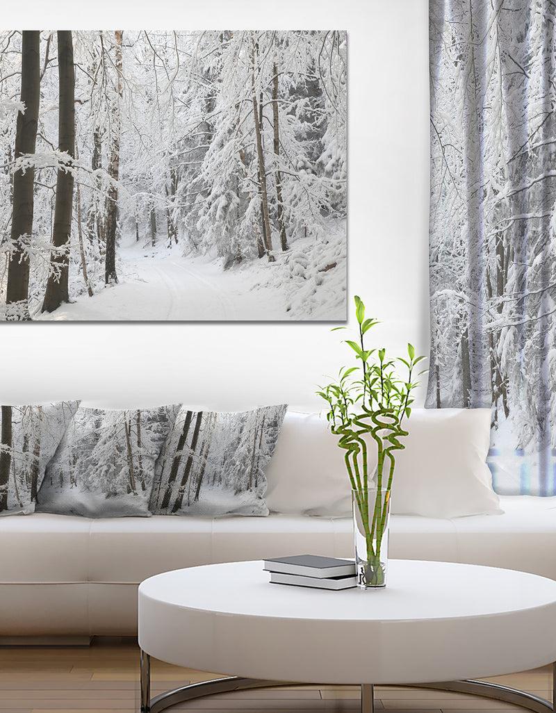 DesignQ Dense Winter Forest and Lane - Large Forest Artwork Canvas