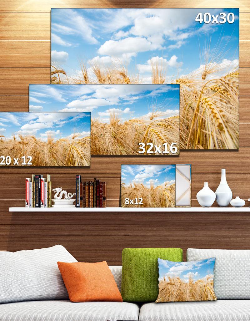 DesignQ Design Canvas Art Print 'Barley Field Under Blue Sky - Extra Large Landscape Canvas Art Print