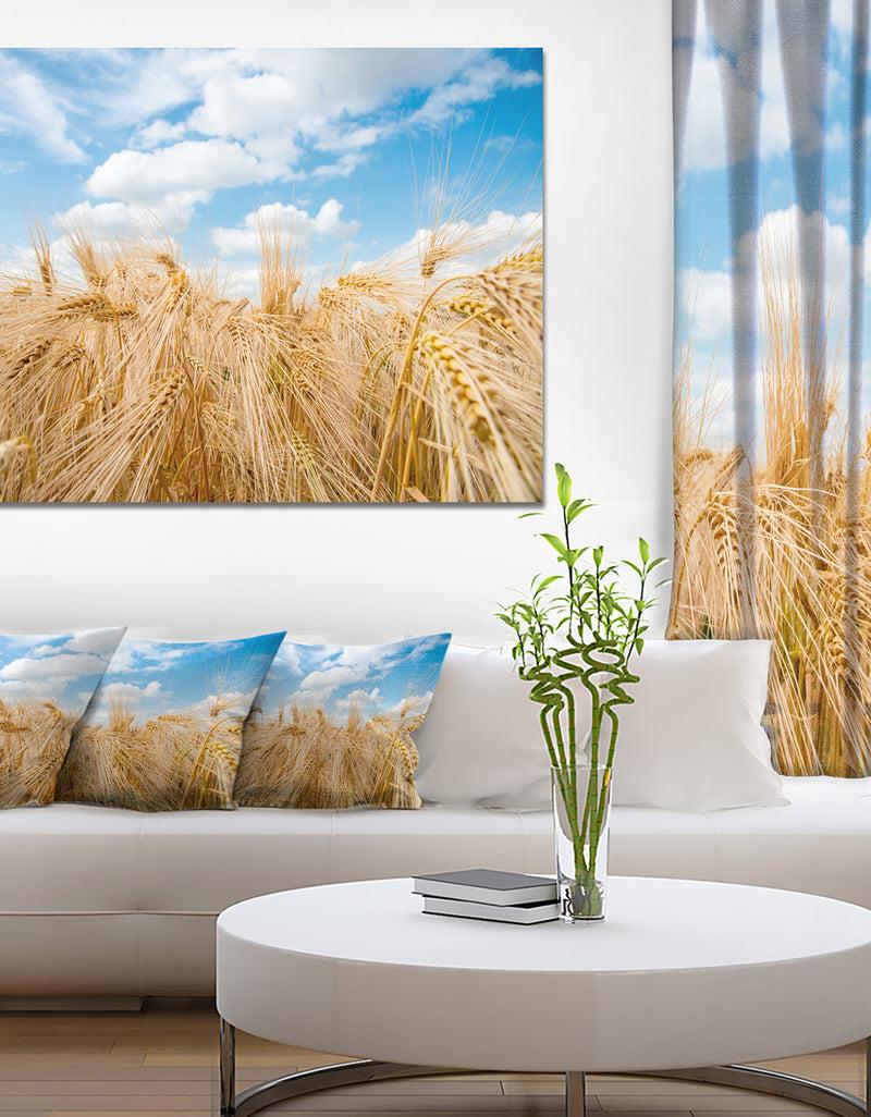 DesignQ Design Canvas Art Print 'Barley Field under Blue Sky - Extra Large Landscape Canvas Art Print