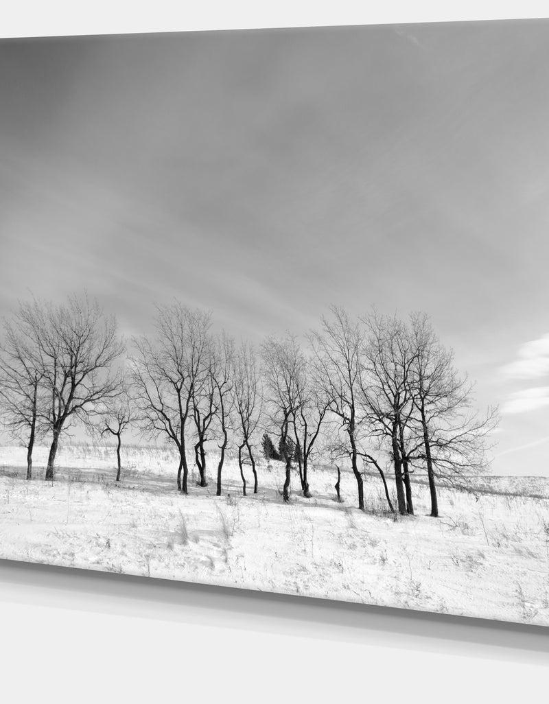 DesignQ Design Canvas Art Print 'Black And White Trees In Winter - Extra Large Landscape Canvas Art Print