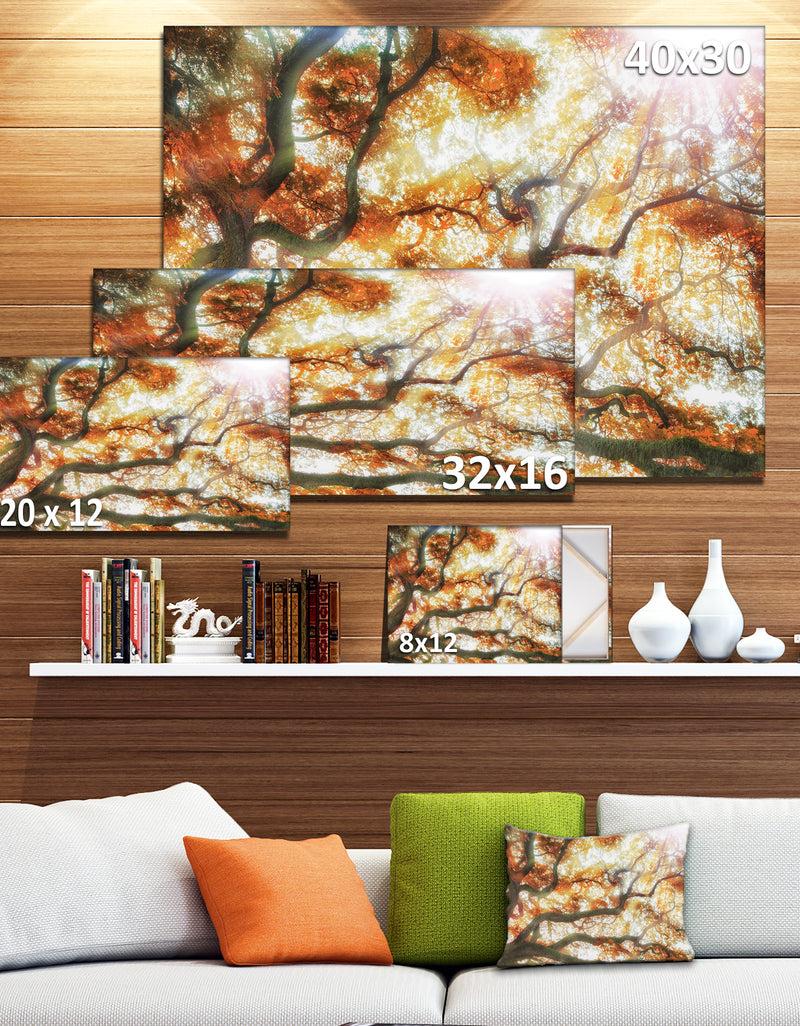 DesignQ Big Tree - Photography Canvas Art Print