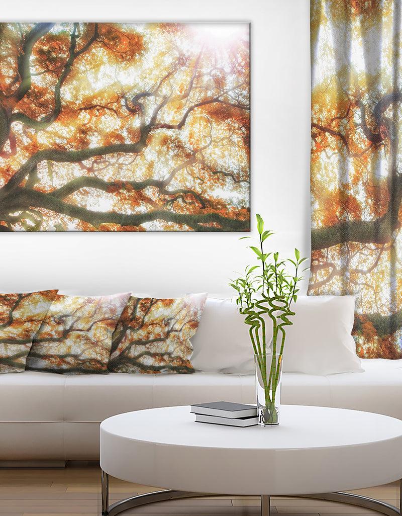 DesignQ Big Tree - Photography Canvas Art Print