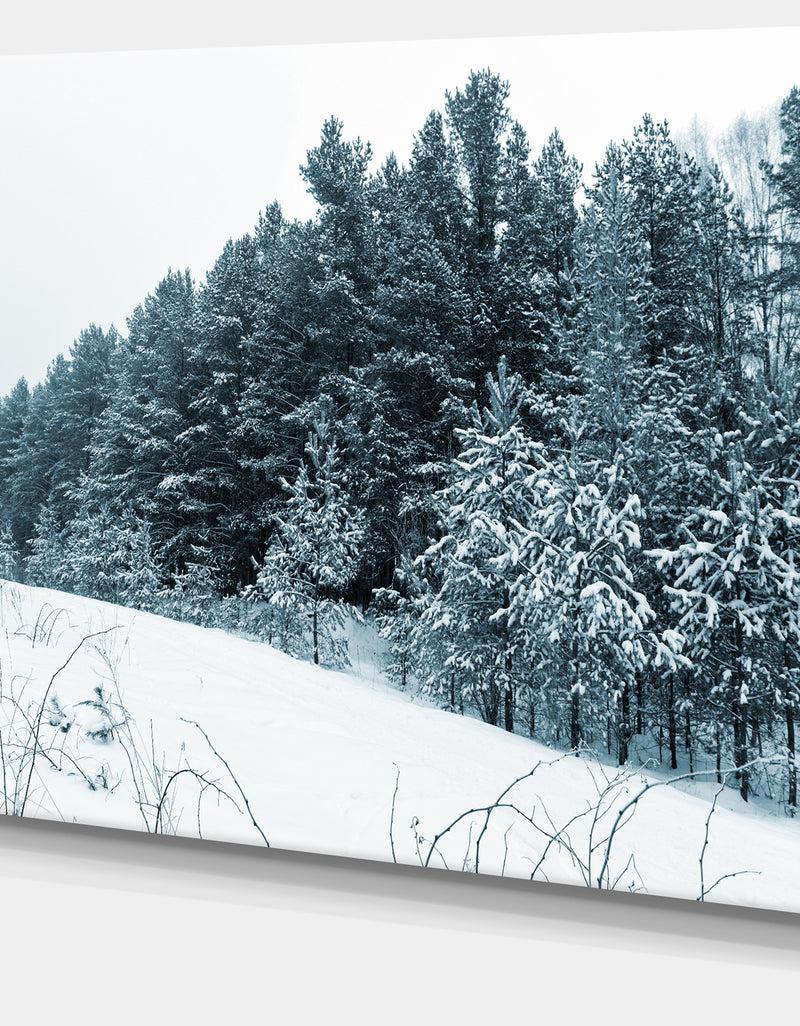 DesignQ Dark Winter Trees - Landscape Wall Artwork