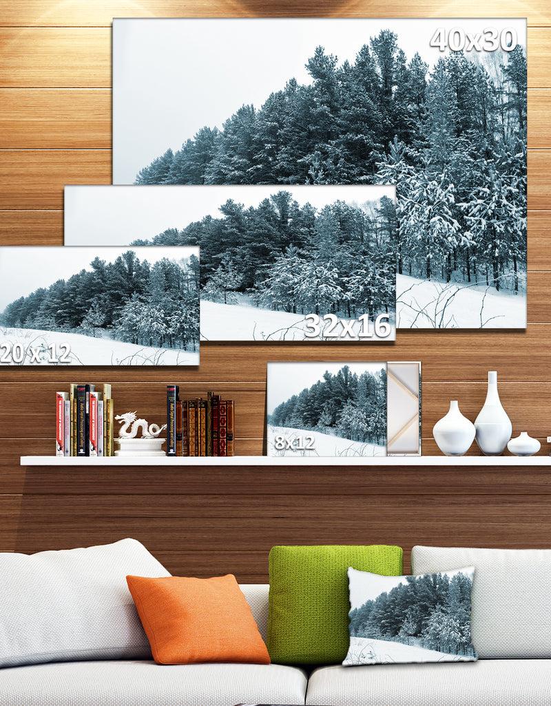 DesignQ Dark Winter Trees - Landscape Wall Artwork