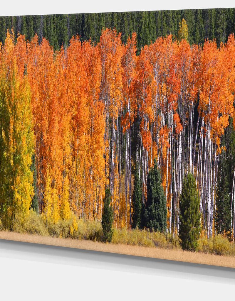 DesignQ Fall Trees Panorama - Landscape Wall Artwork