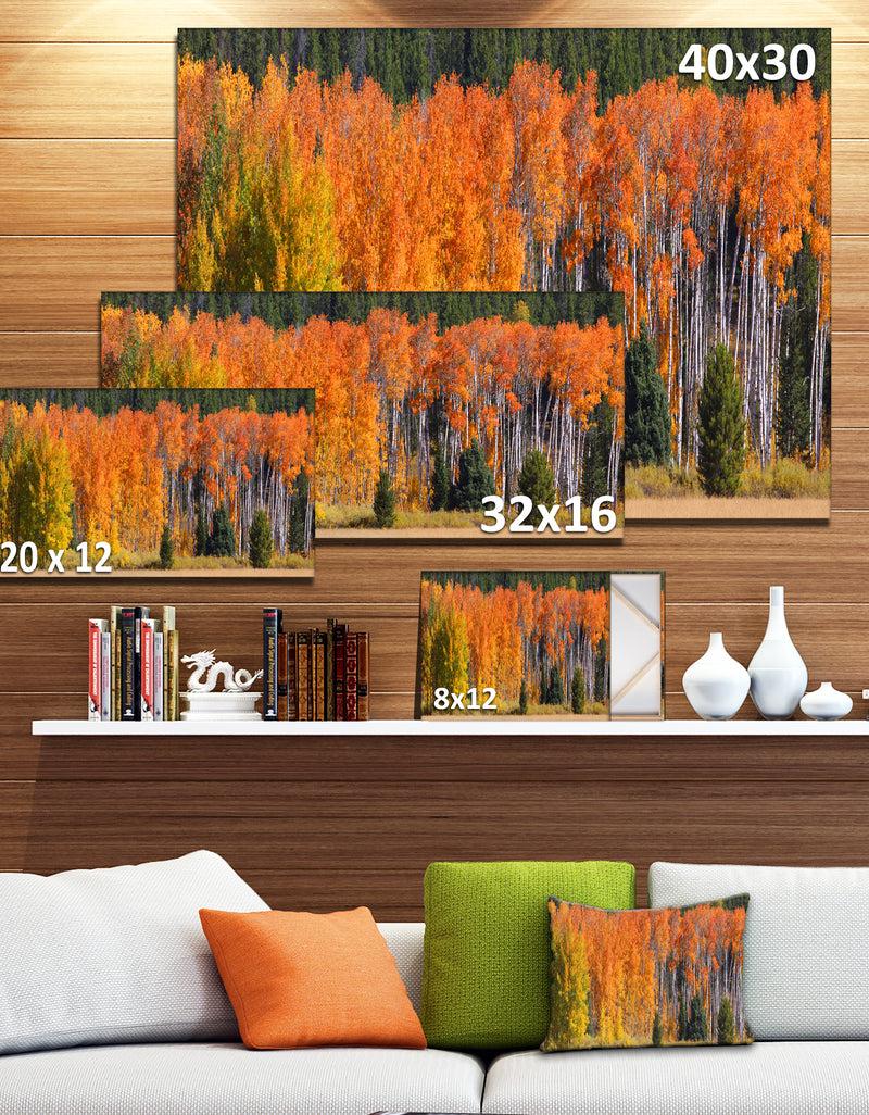 DesignQ Fall Trees Panorama - Landscape Wall Artwork