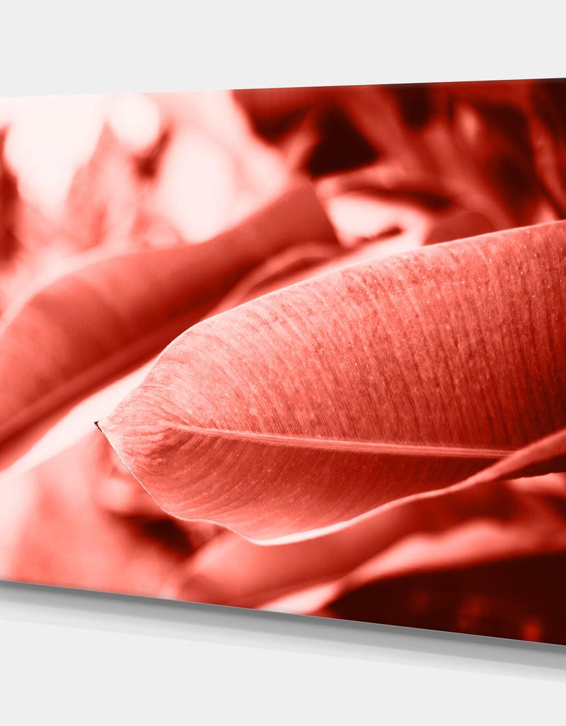 DesignQ Living Coral - Tropical Canvas Wall Art