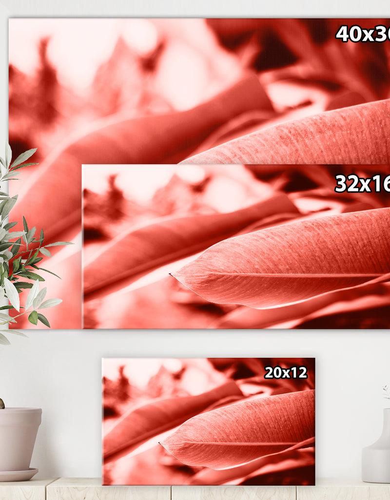 DesignQ Living Coral - Tropical Canvas Wall Art