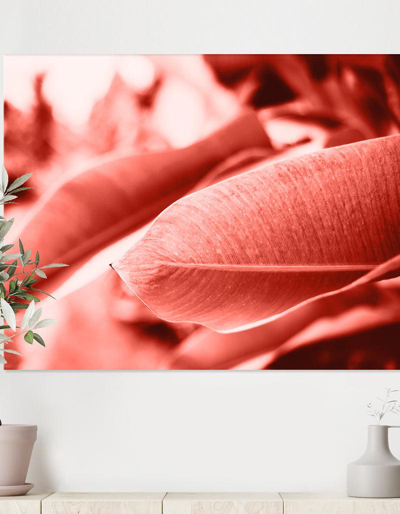 DesignQ Living Coral - Tropical Canvas Wall Art