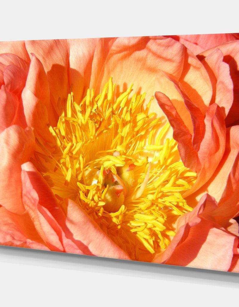DesignQ Peony - Cottage Canvas Wall Art