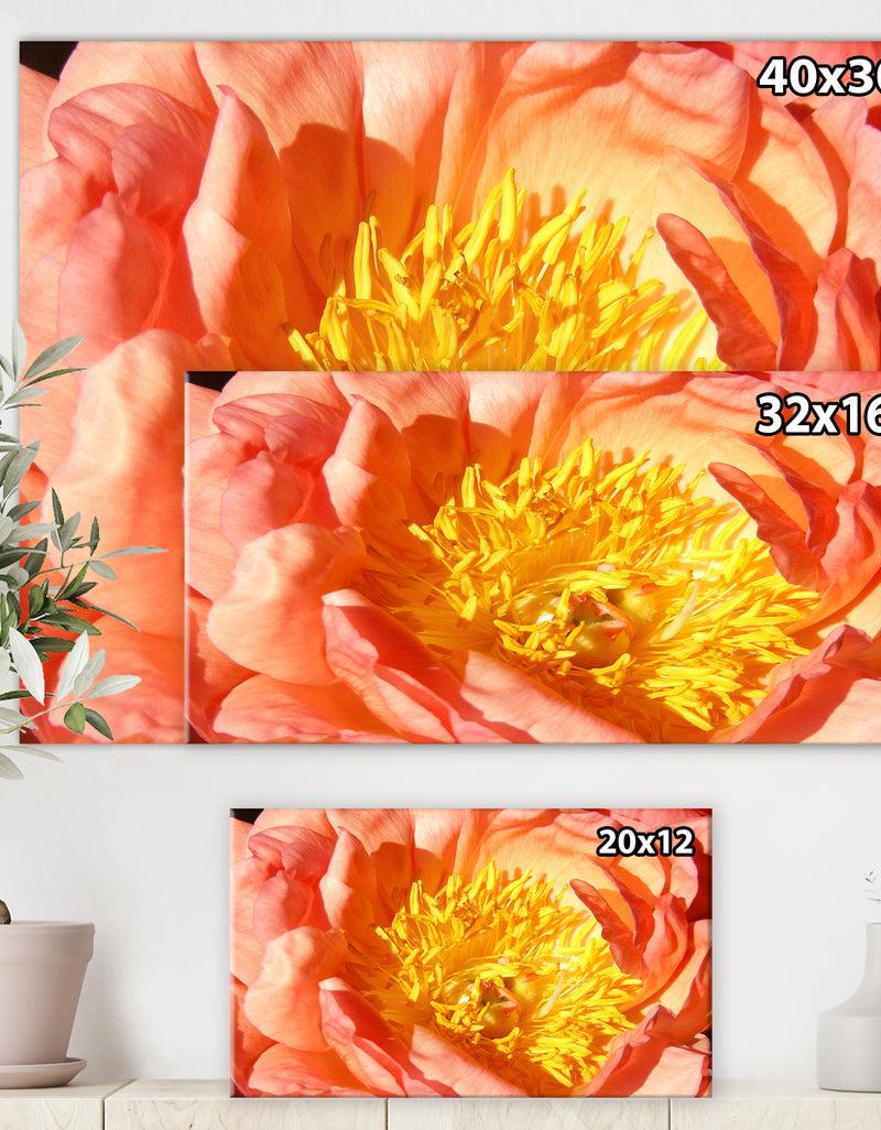 DesignQ Peony - Cottage Canvas Wall Art