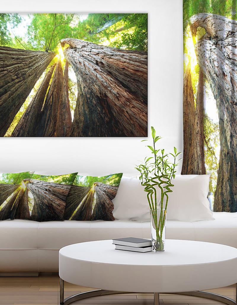 DesignQ Sequoia Tree Photography Canvas Art Print