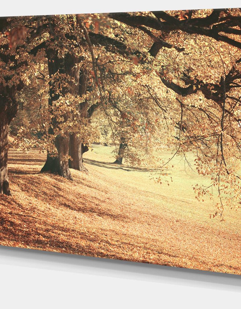 DesignQ Dreamy Imagery Of Autumn Forest - Modern Forest Canvas Art
