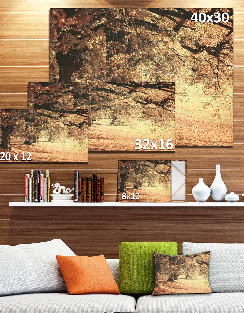 DesignQ Dreamy Imagery Of Autumn Forest - Modern Forest Canvas Art