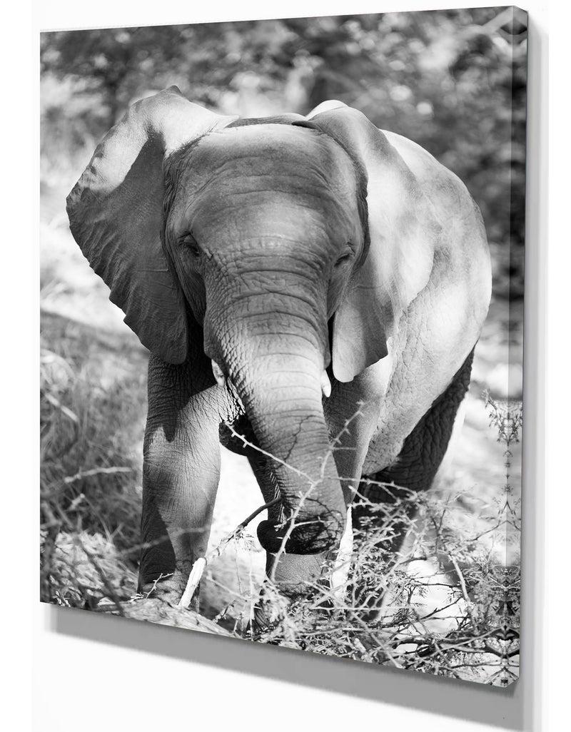 DesignQ Elephant At Kruger National Park - Africa Animals Photography On Wrapped Canvas