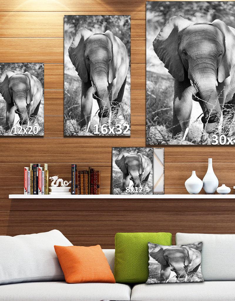 DesignQ Elephant At Kruger National Park - Africa Animals Photography On Wrapped Canvas