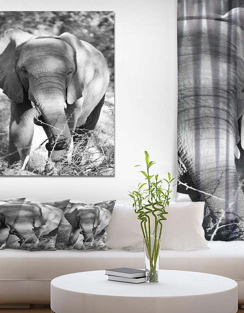 DesignQ Elephant at Kruger National Park - Africa Animals Photography on Wrapped Canvas