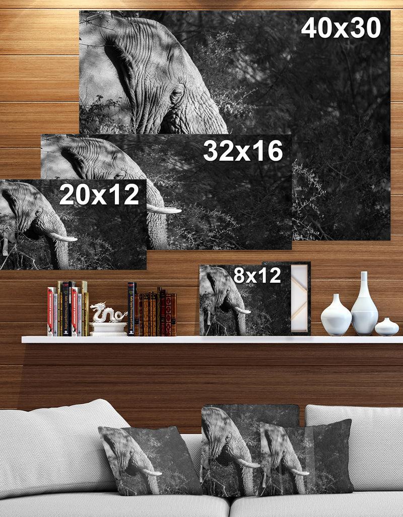 DesignQ Elephant At Kruger National Park In Grayscale - Africa Animals Photography On Wrapped Canvas