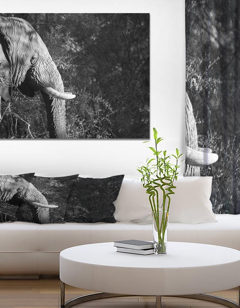 DesignQ Elephant at Kruger National Park in Grayscale - Africa Animals Photography on Wrapped Canvas