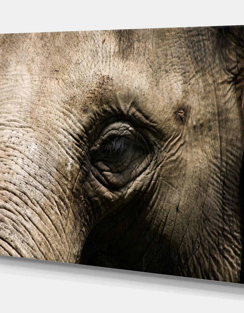 DesignQ Elephant Head - Africa Animals Photography On Wrapped Canvas