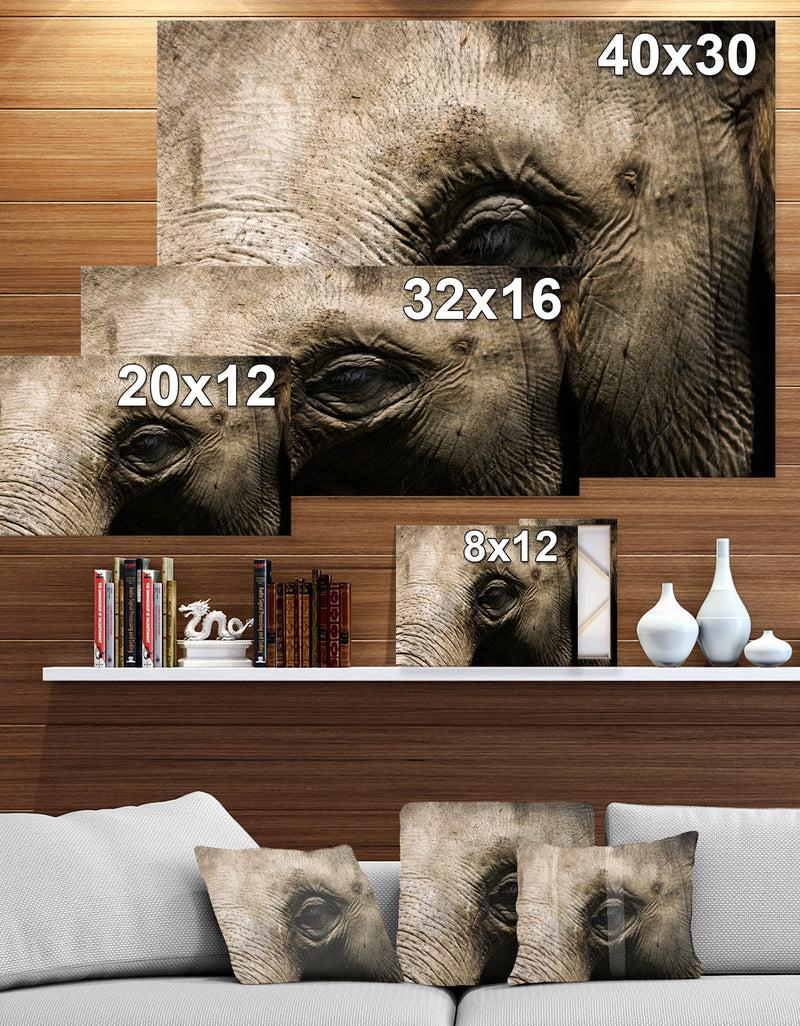 DesignQ Elephant Head - Africa Animals Photography On Wrapped Canvas