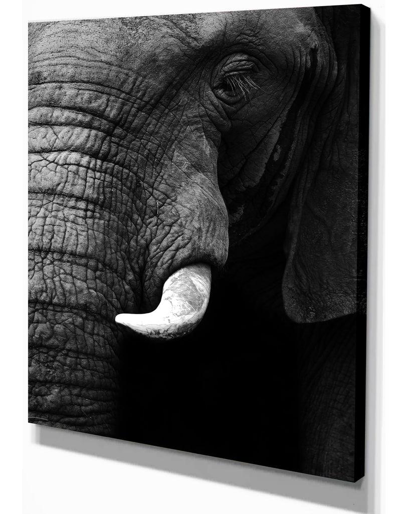 DesignQ Elephant Head Close Up - Africa Animals Photography On Wrapped Canvas