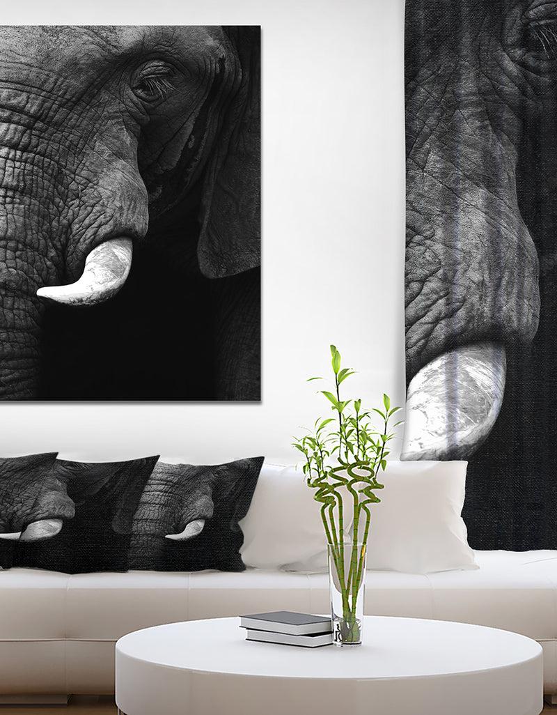 DesignQ Elephant Head Close Up - Africa Animals Photography on Wrapped Canvas