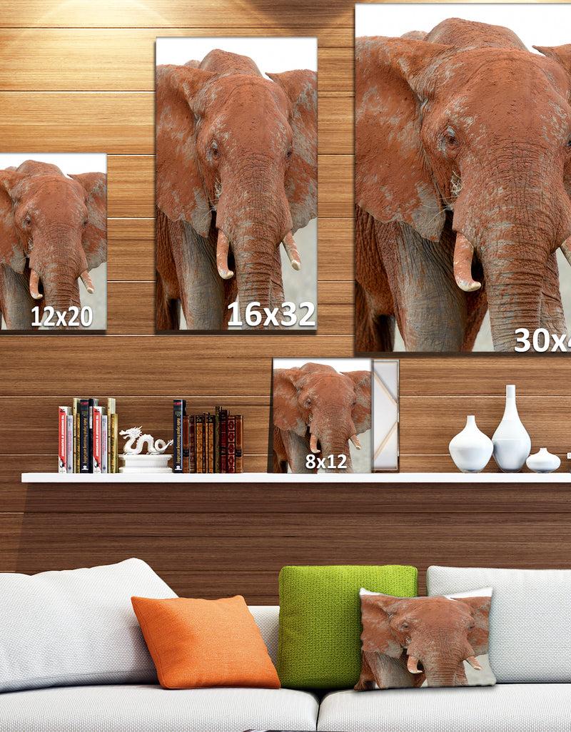 DesignQ Elephant In National Park Of Kenya - Animals Photography On Wrapped Canvas