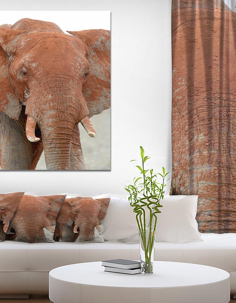 DesignQ Elephant in National park of Kenya - Animals Photography on Wrapped Canvas