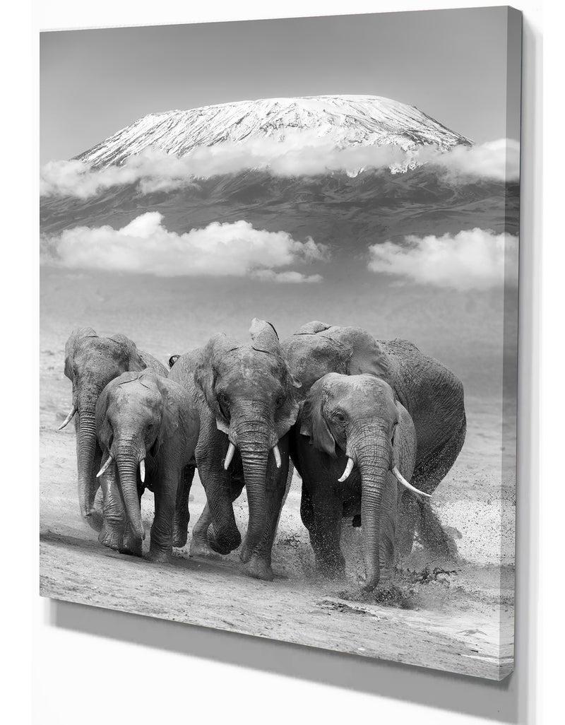 DesignQ Elephant On Kilimanjaro Mount - Animals Photography Print On Wrapped Canvas