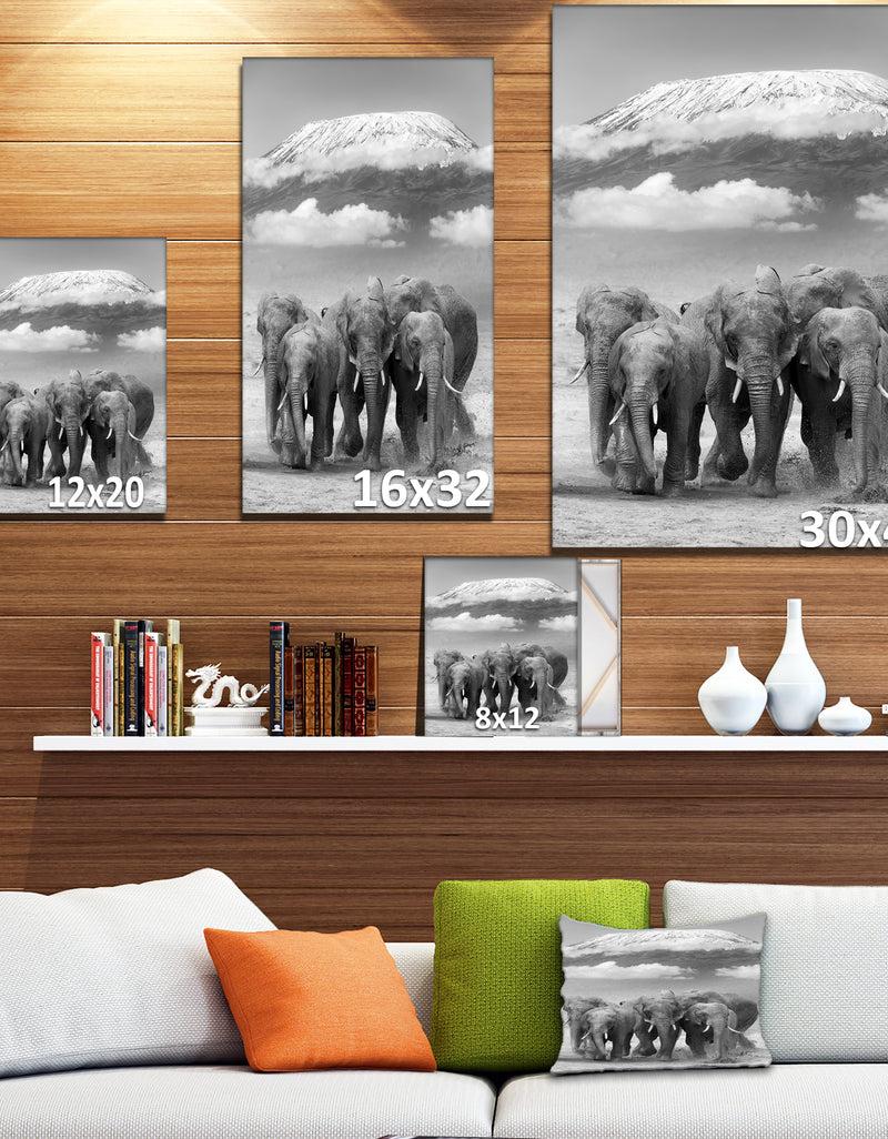 DesignQ Elephant On Kilimanjaro Mount - Animals Photography Print On Wrapped Canvas