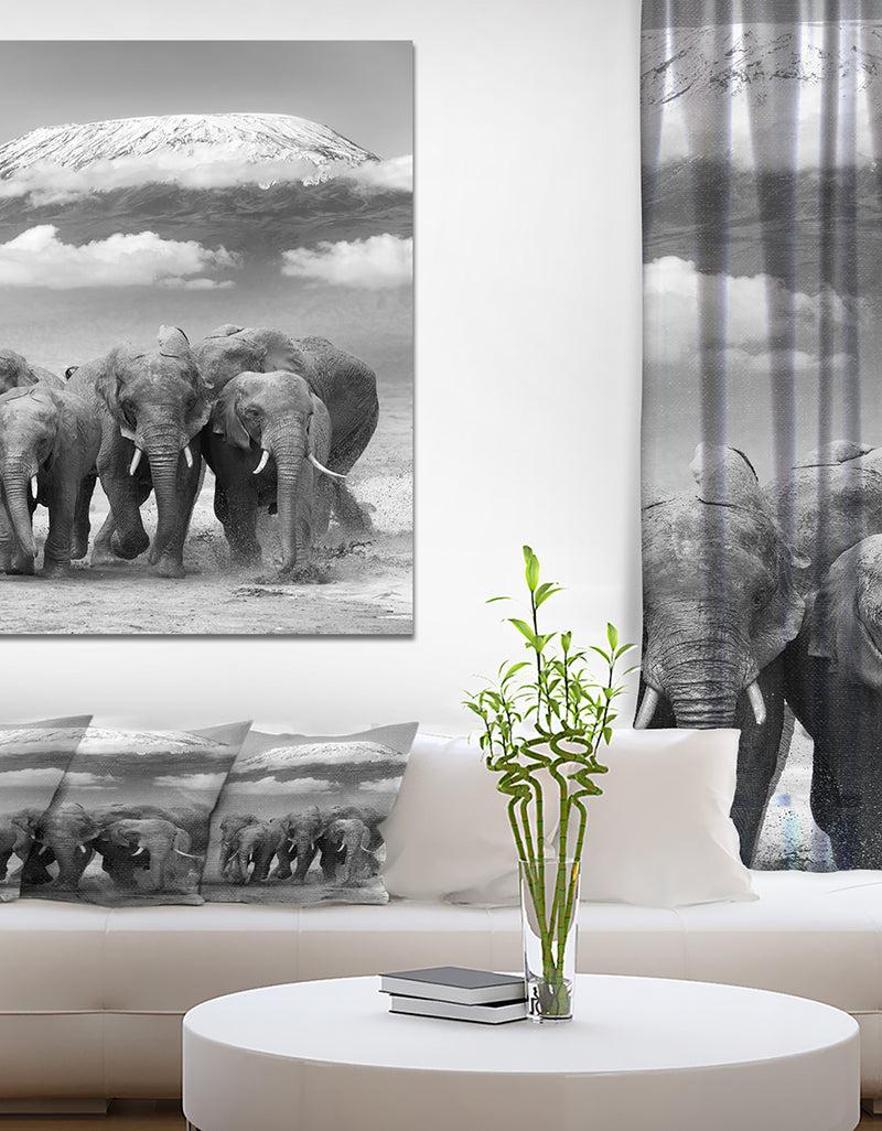 DesignQ Elephant on Kilimanjaro mount - Animals Photography Print on Wrapped Canvas