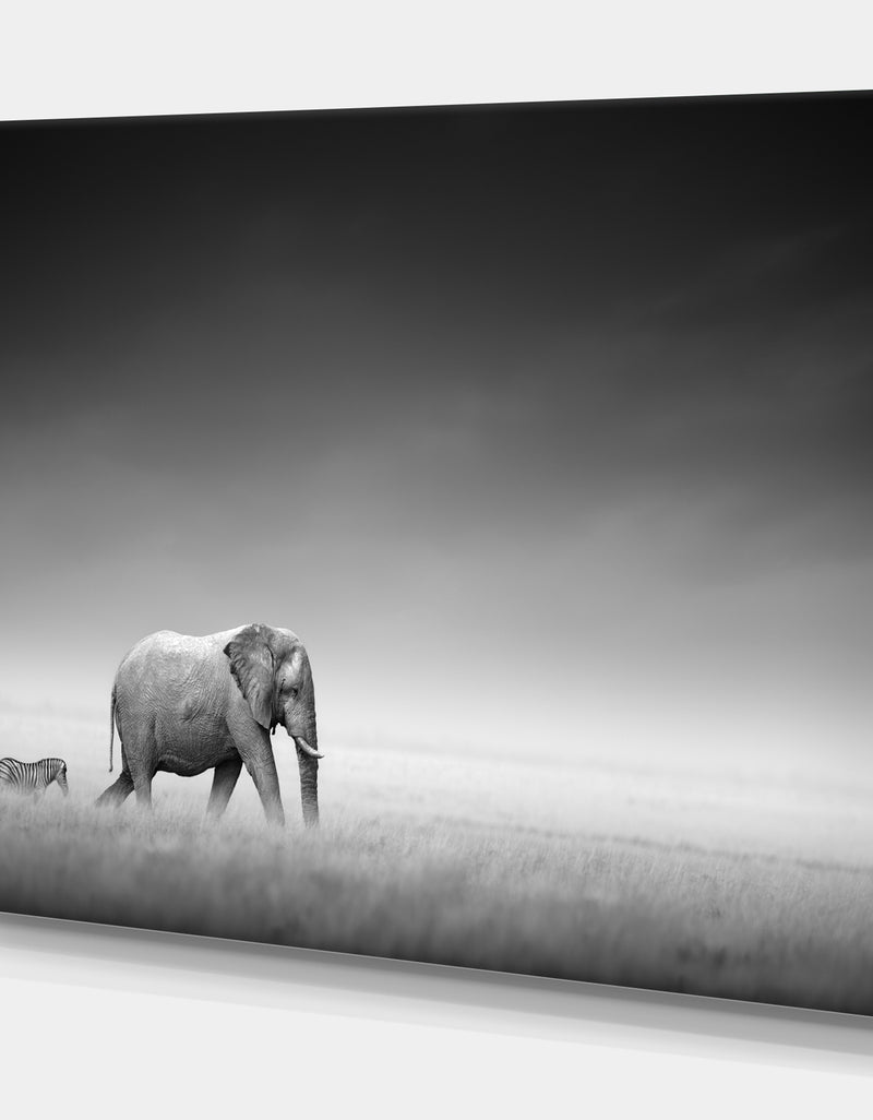 DesignQ Elephant With Small Zebra - Africa Animals Photography On Wrapped Canvas