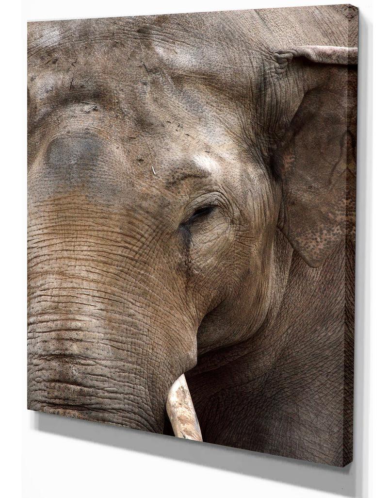 DesignQ Emotional Elephant In Close Up - Africa Animals Photography On Wrapped Canvas