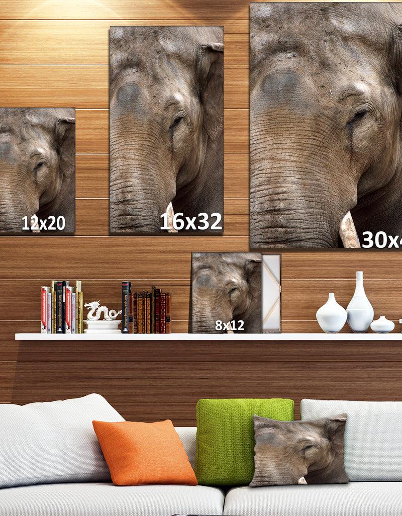 DesignQ Emotional Elephant In Close Up - Africa Animals Photography On Wrapped Canvas