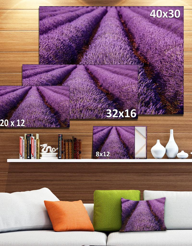 DesignQ Endless Rows Of Lavender Field - Oversized Landscape Wall Art Print