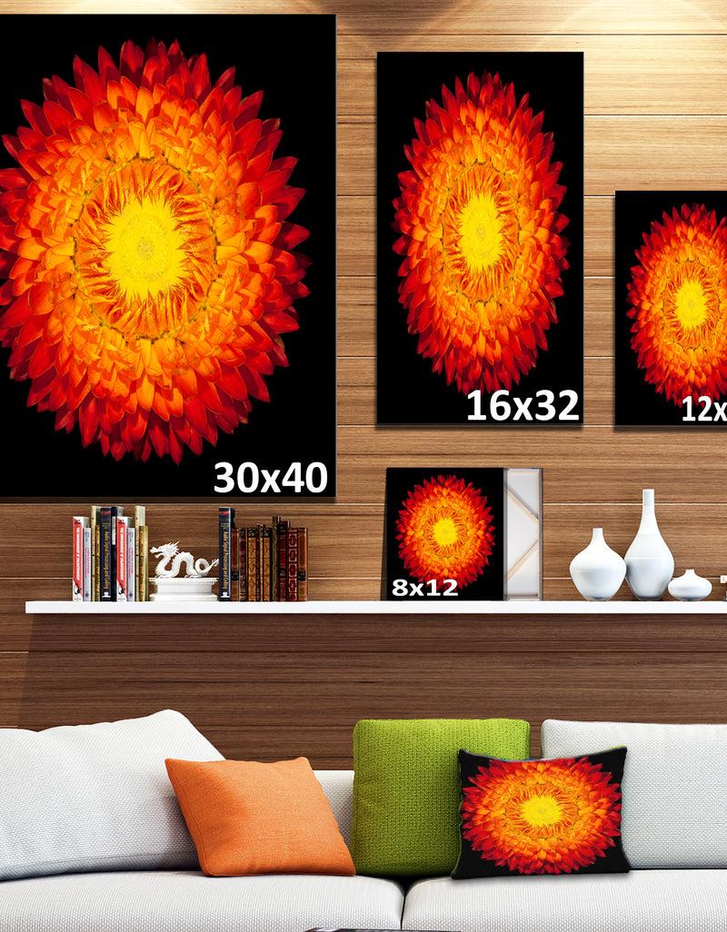 DesignQ Everlasting Straw Flower On Black - Flowers Canvas Wall Artwork