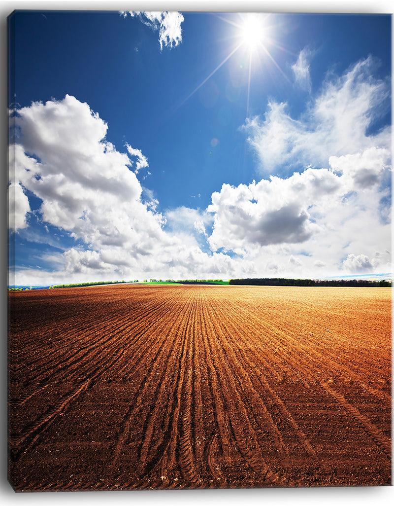 DesignQ Expansive Field Under White Clouds - Modern Landscape Wall Art Canvas