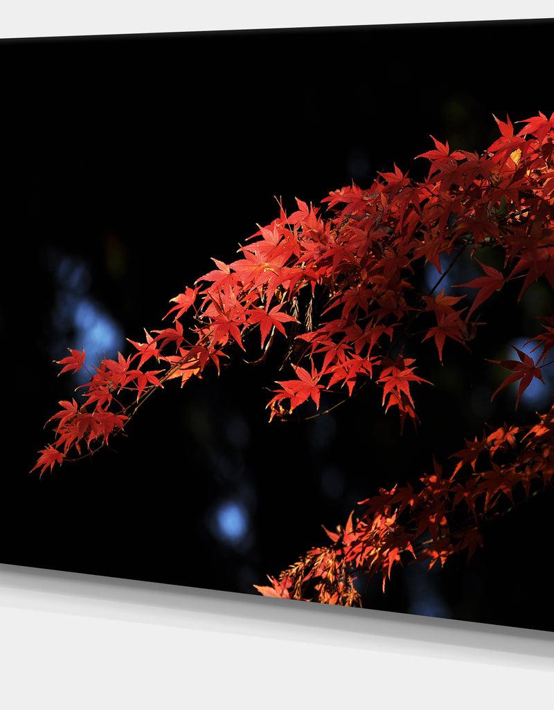 DesignQ Fall Foliage Of Maple Leaves - Abstract Artwork On Canvas