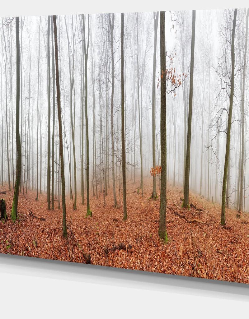 DesignQ Fall Forest With Trees At Mist - Oversized Forest Canvas Artwork