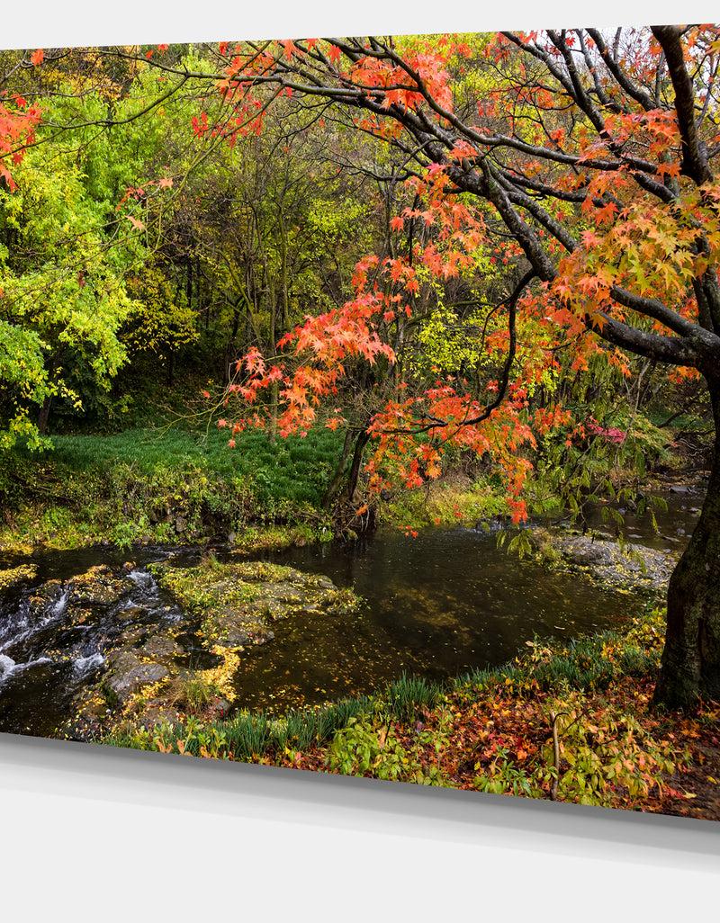 DesignQ Fall Trees In Bright Colors - Landscape Canvas Wall Artwork