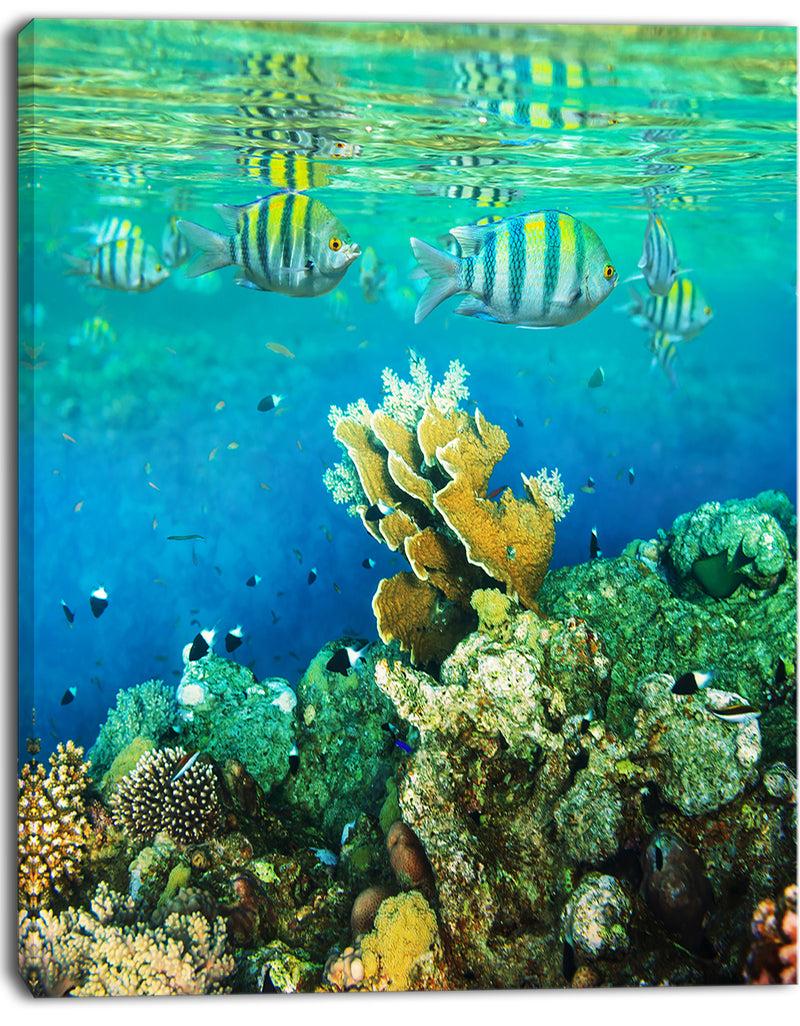 DesignQ Fantastic Red Sea Coral Fish - Seashore Wall Art Print