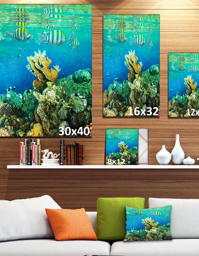 DesignQ Fantastic Red Sea Coral Fish - Seashore Wall Art Print