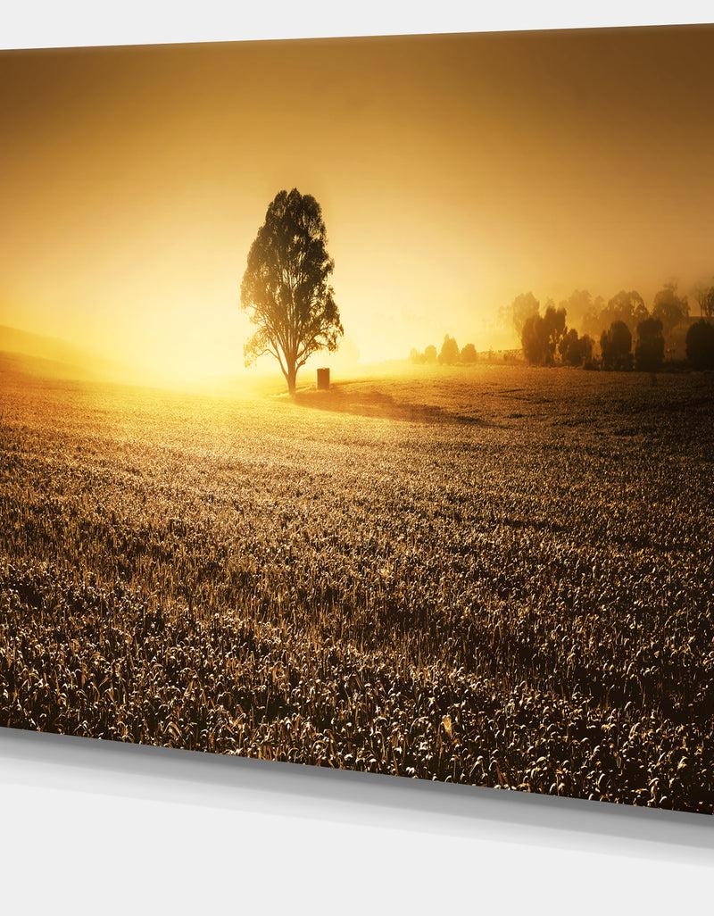 DesignQ Farmland Panorama - Landscape Photography Canvas Art Print