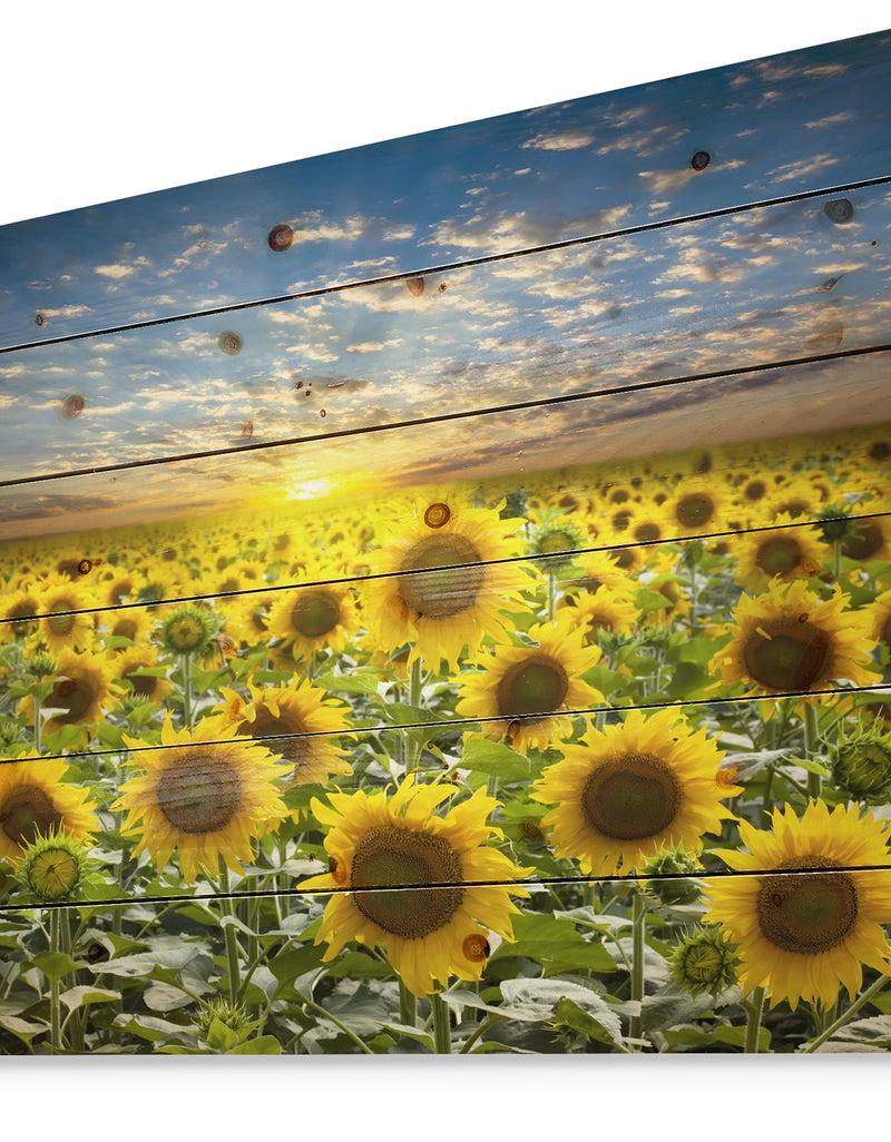 DesignQ Field Of Blooming Sunflowers - Flower Print On Natural Pine Wood