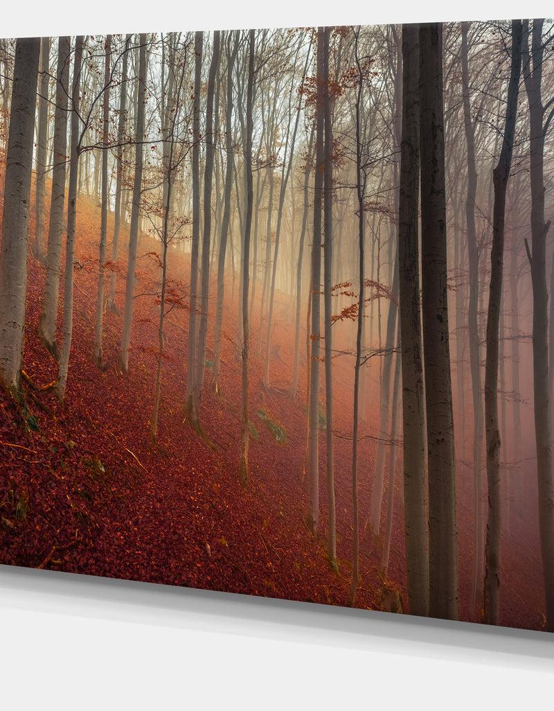 DesignQ Foggy Day In Enchanted Forest - Large Landscape Canvas Art Print