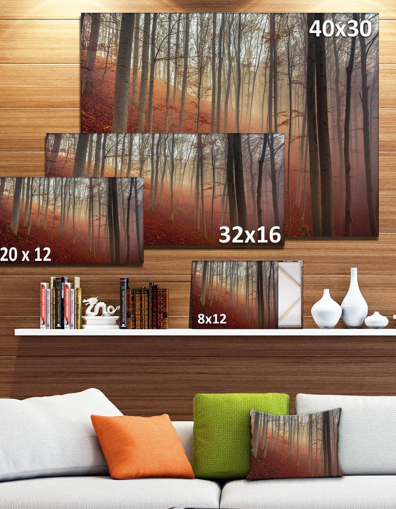 DesignQ Foggy Day In Enchanted Forest - Large Landscape Canvas Art Print