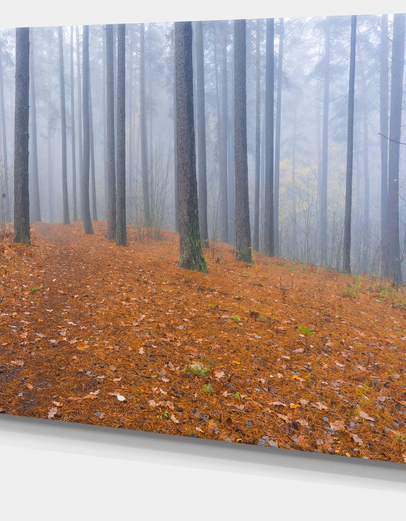 DesignQ Foggy Dense Forest In Autumn - Modern Forest Canvas Art