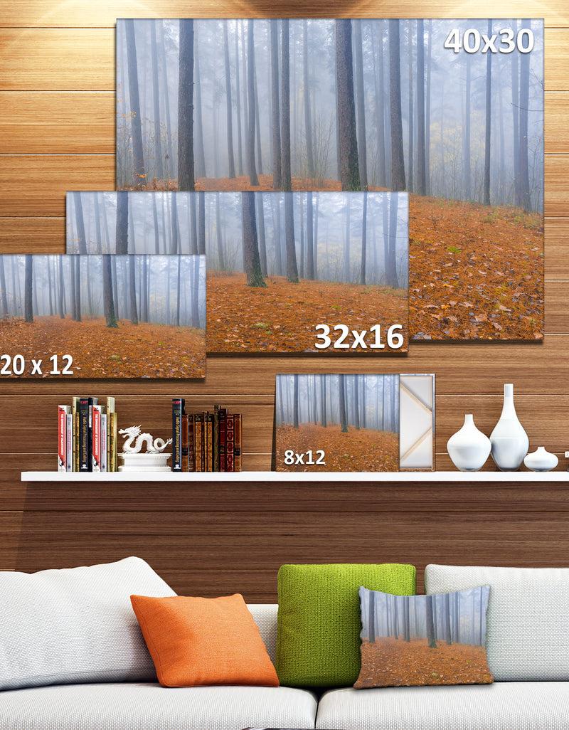DesignQ Foggy Dense Forest In Autumn - Modern Forest Canvas Art