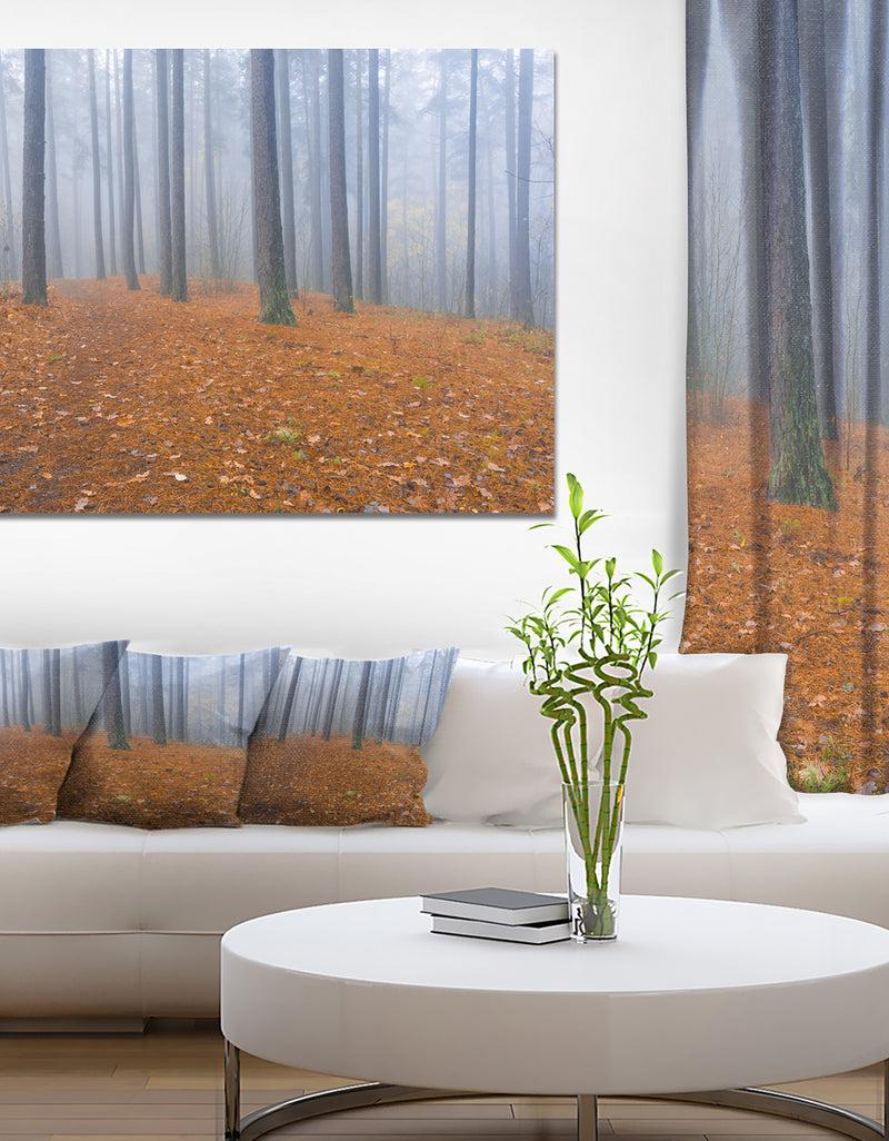 DesignQ Foggy Dense Forest in autumn - Modern Forest Canvas Art